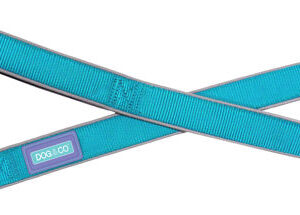 Dog & Co Aqua Blue Reflective Dog Lead at The Lancashire Dog Company