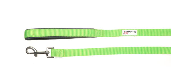 Doodlebone Originals Apple Green Clip Dog Lead