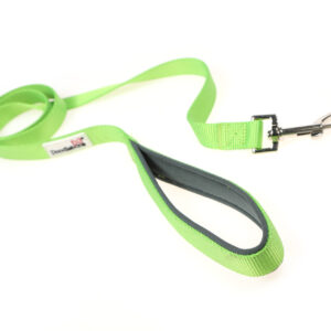 Doodlebone Originals Apple Green Clip Dog Lead
