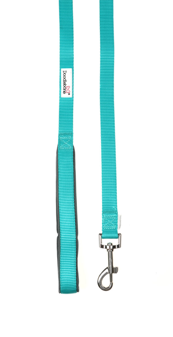 Doodlebone Originals Teal Clip Dog Lead