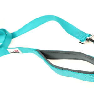 Doodlebone Originals Teal Clip Dog Lead