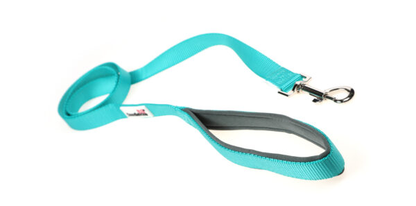 Doodlebone Originals Teal Clip Dog Lead