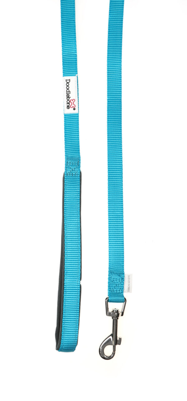 Doodlebone Originals Aqua Blue Clip Dog Lead