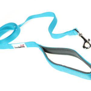 Doodlebone Originals Aqua Blue Clip Dog Lead