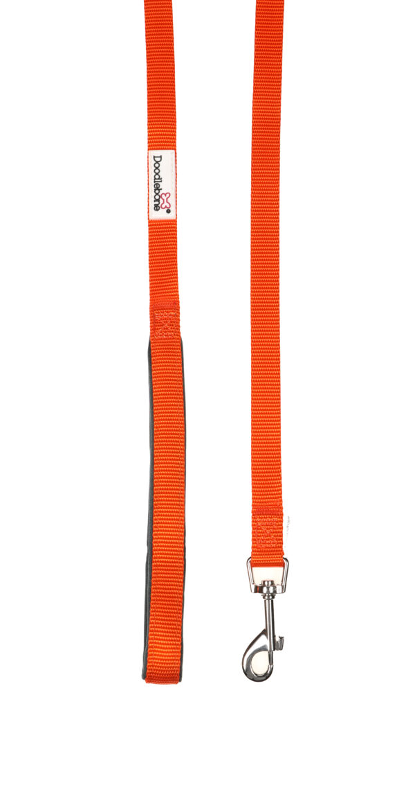 Doodlebone Originals Orange Clip Dog Lead