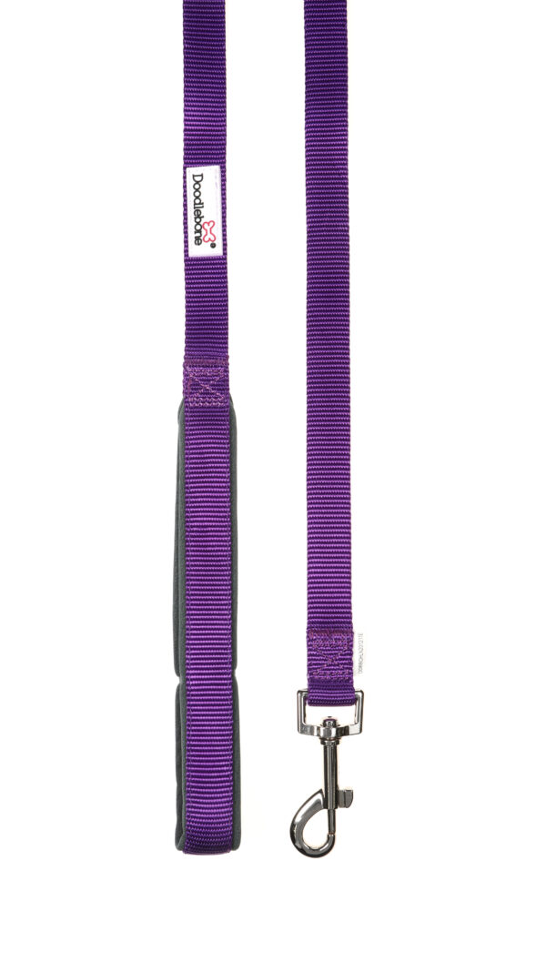 Doodlebone Originals Purple Clip Dog Lead