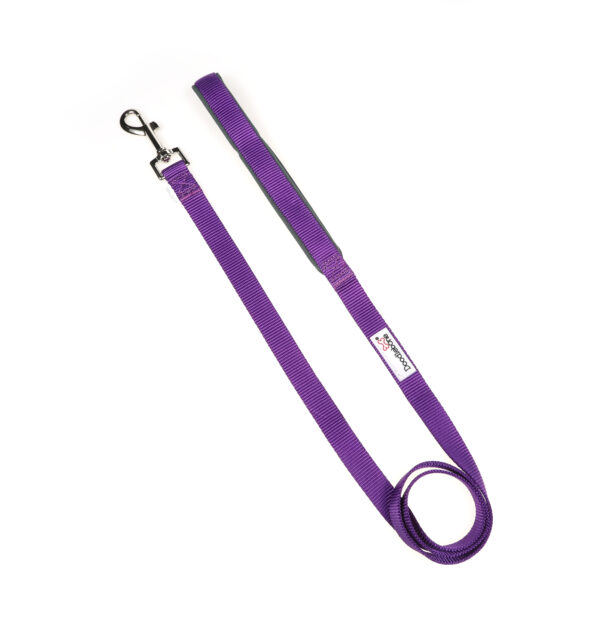 Doodlebone Originals Purple Clip Dog Lead