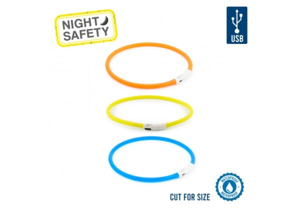 Ancol Rechargeable Flashing Dog Band at The Lancashire Dog Company