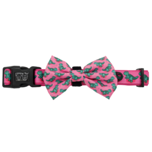 Big & Little Dogs 'Princess-asaurus' Adjustable Dog Collar