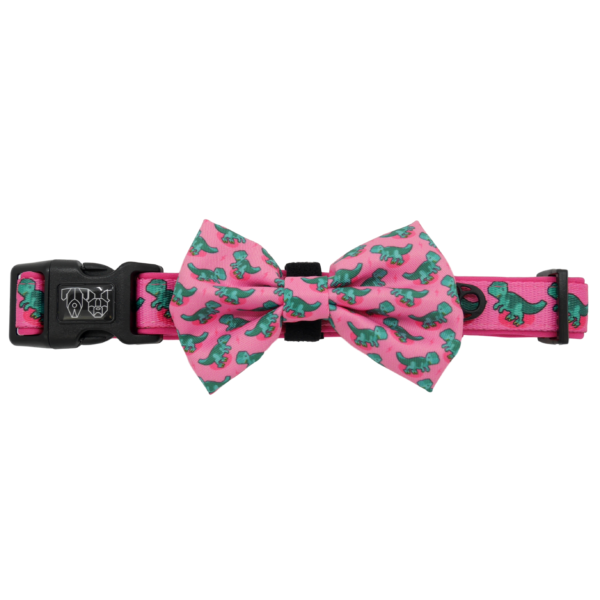 Big & Little Dogs 'Princess-asaurus' Adjustable Dog Collar