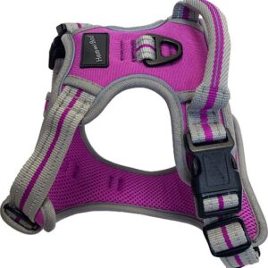 Hem and Boo Purple Sports Dog Harness at The Lancashire Dog Company