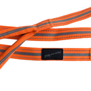 Orange Dog & Co Sports Dog Lead