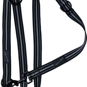 Black Dog & Co Sports Training Dog Lead