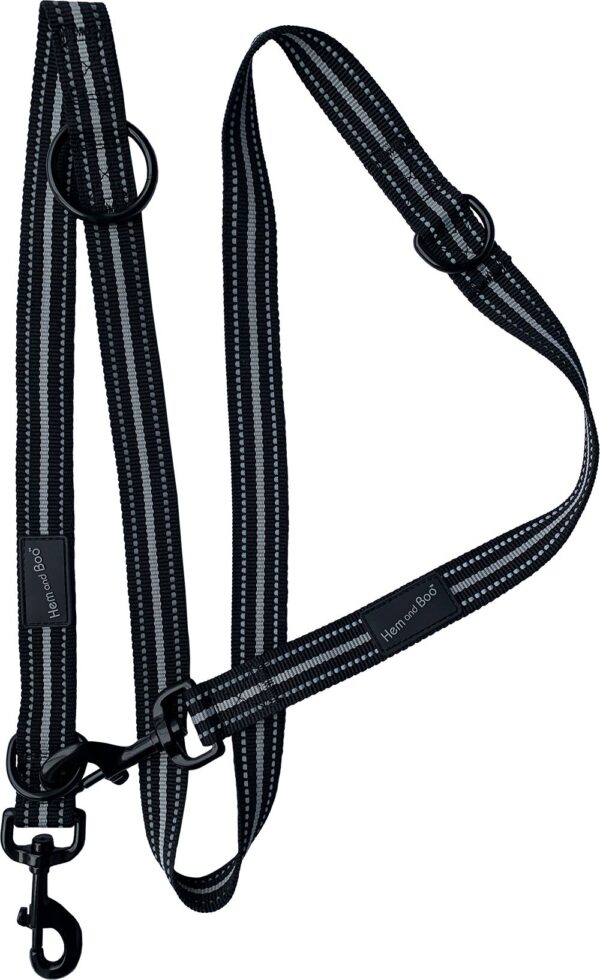 Black Dog & Co Sports Training Dog Lead