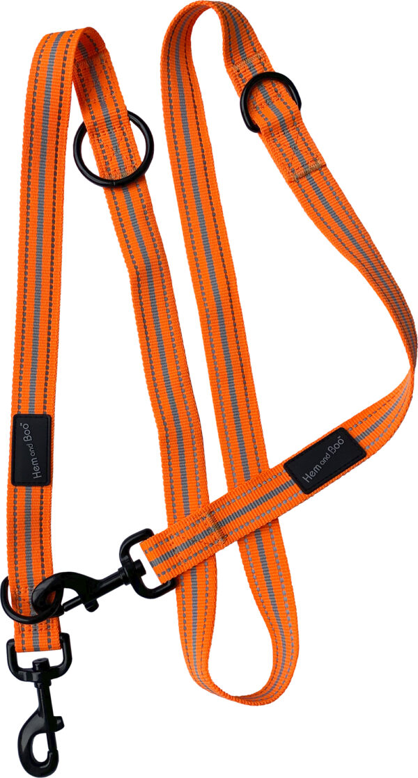 Orange Dog & Co Sports Training Lead