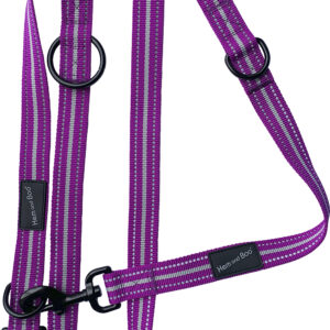 Purple Hem and Boo Sports Training Lead at The Lancashire Dog Company