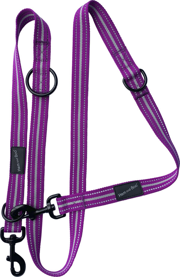 Purple Hem and Boo Sports Training Lead at The Lancashire Dog Company