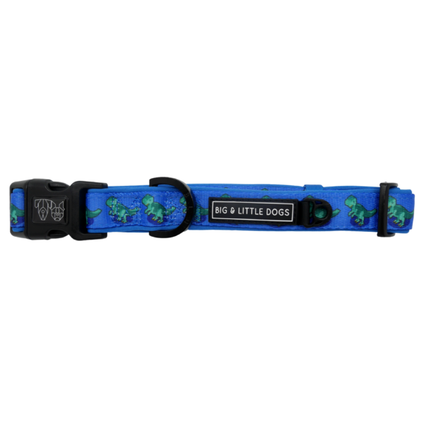 Big & Little Dogs 'Rawr' Dinosaur Print Adjustable Dog Collar