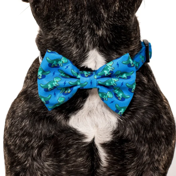 Big & Little Dogs 'Rawr' Dinosaur Print Adjustable Dog Collar