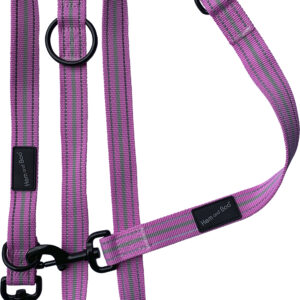 Pink Dog & Co Sports Training Lead