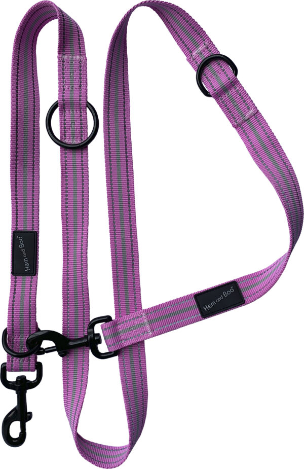 Pink Dog & Co Sports Training Lead