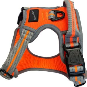 Hem and Boo Orange Sports Dog Harness at The Lancashire Dog Company
