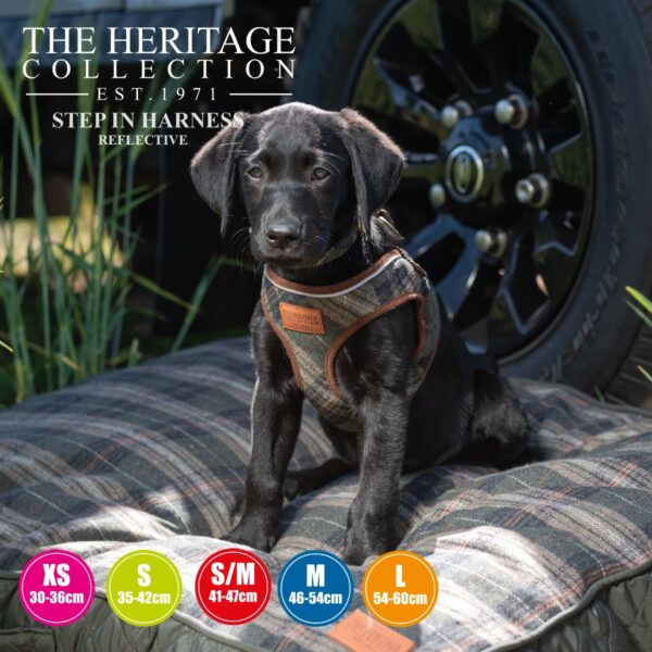 Ancol Country Check Step In Tweed Dog Harness