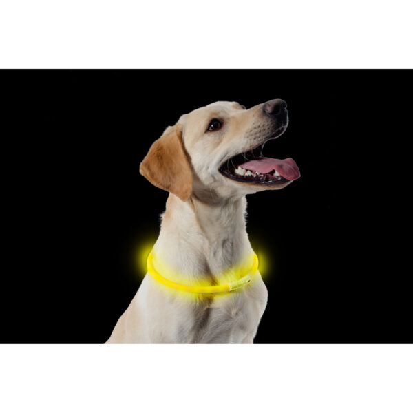 Yellow Ancol Flashing Dog Band Night Safety Dog Collar