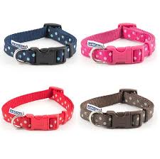 Polka Dot Adjustable Dog Collar by Ancol with a clip fastener available in blue, brown, pink and red