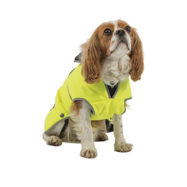 Ancol Hi-Vis Muddy Paws Stormguard Dog Coat