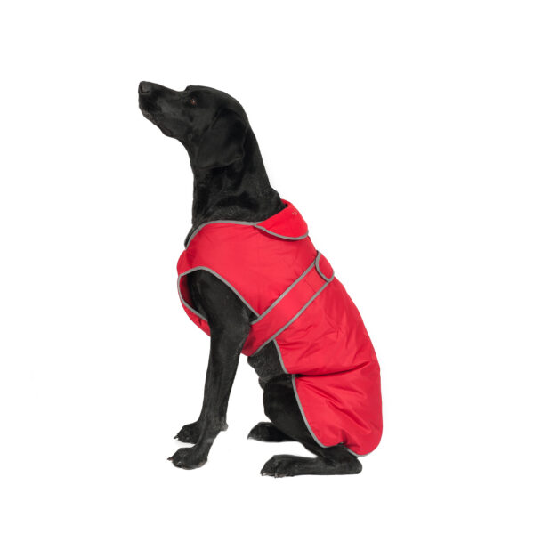 Ancol Red Muddy Paws Stormguard Dog Coat