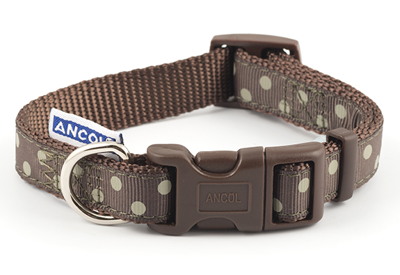 Brown Polka Dot Adjustable Dog Collar by Ancol with a clip fastener