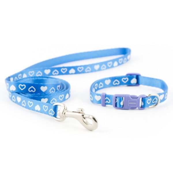 Ancol Blue Heart Puppy Collar and Lead Set
