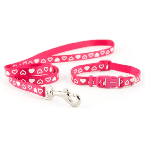 Ancol Red Heart Puppy Collar and Lead Set
