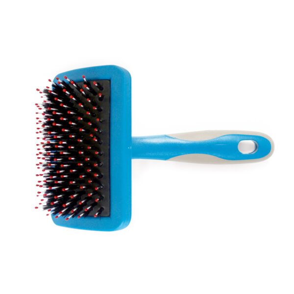 Ancol Hedgehog Slicker Dog Brush | The Lancashire Dog Company