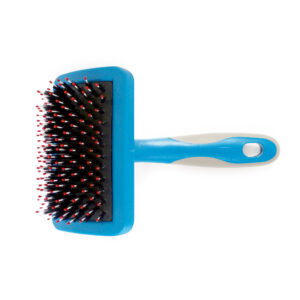 Ancol Hedgehog Slicker Dog Brush at The Lancashire Dog Company