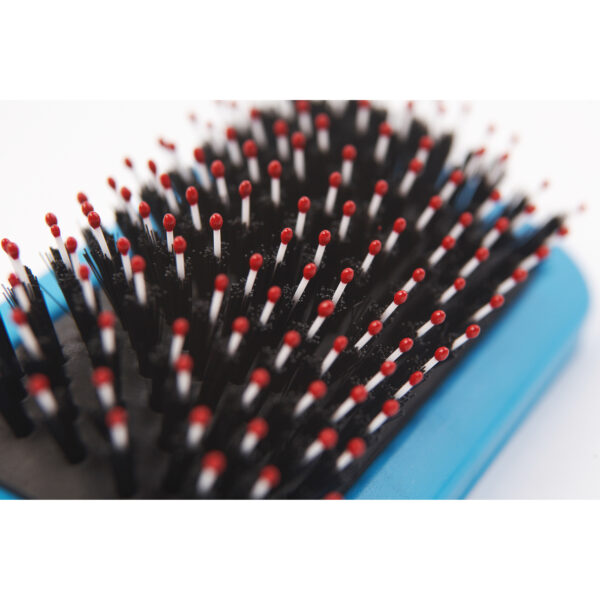 Ancol Hedgehog Slicker Dog Brush at The Lancashire Dog Company