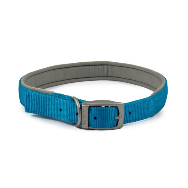 Ancol Viva Padded Blue Buckle Dog Collar