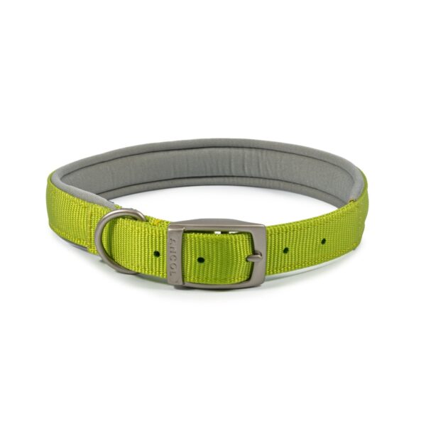 Ancol Viva Padded Lime Green Buckle Dog Collar