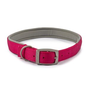 Ancol Viva Padded Pink Buckle Dog Collar