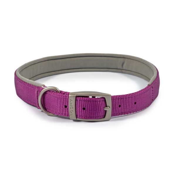Ancol Viva Padded Purple Buckle Dog Collar
