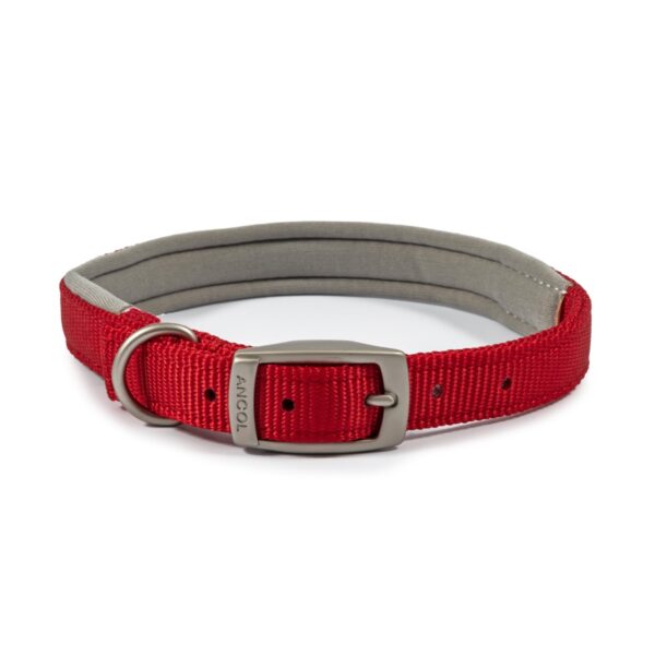 Ancol Viva Padded Red Buckle Dog Collar