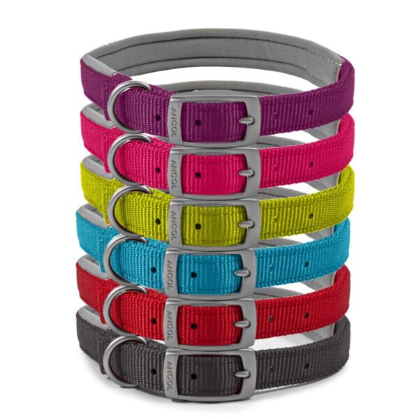 Ancol Viva Padded Buckle Dog Collar