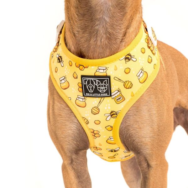 Big & Little Dogs 'Bee-Hiving' Bee Print Adjustable Dog Harness