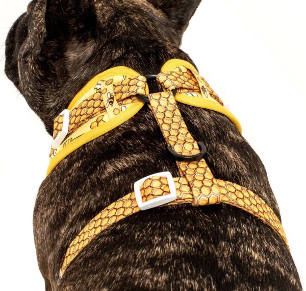 Big & Little Dogs 'Bee-Hiving' Bee Print Adjustable Dog Harness