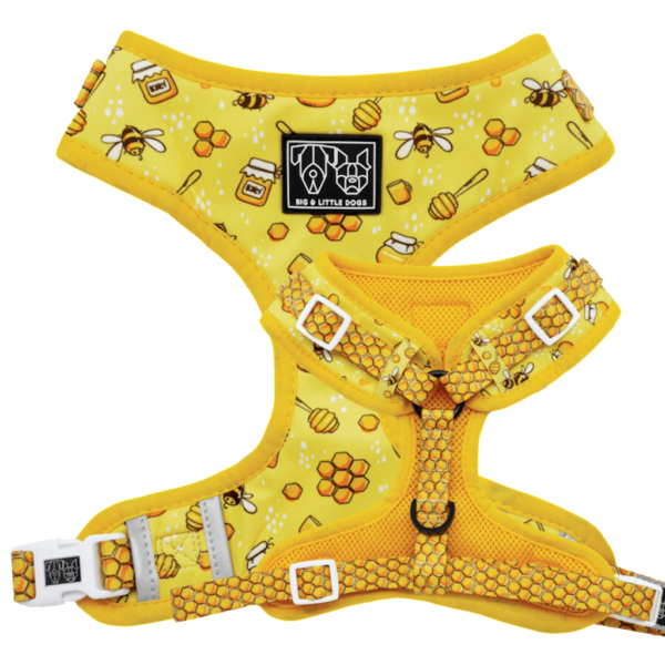 Big & Little Dogs 'Bee-Hiving' Bee Print Adjustable Dog Harness