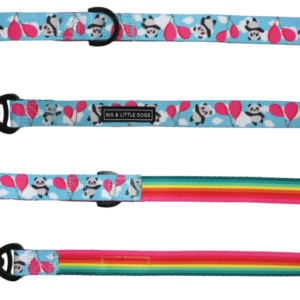 Big & Little Dogs 'Beary Cute' panda and rainbow print blue dog lead