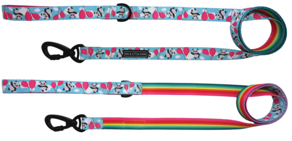 Big & Little Dogs 'Beary Cute' panda and rainbow print blue dog lead