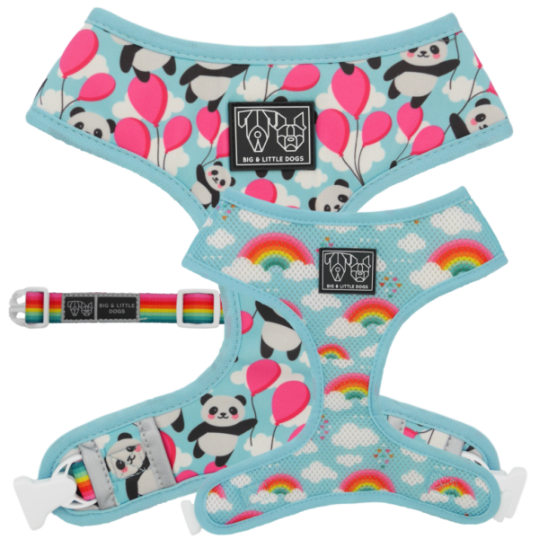 Big & Little Dogs 'Beary Cute' Panda and Rainbow Print Reversible Blue Dog Harness