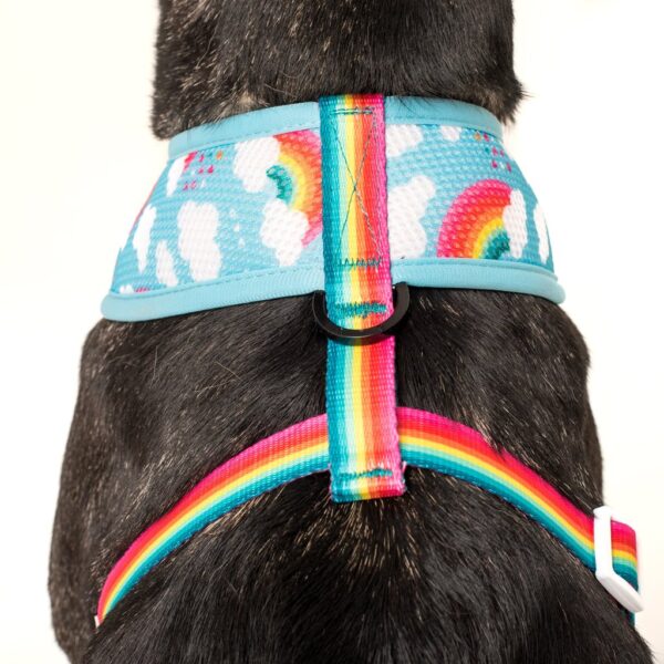 Big & Little Dogs 'Beary Cute' Panda and Rainbow Print Reversible Blue Dog Harness